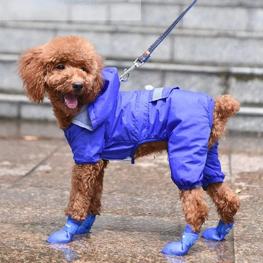 Bottes chien PELAGUAI™ |  bottes toutes saisons