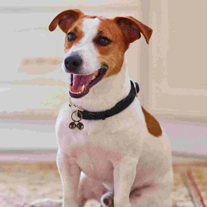 Grelots chien BENEPAWS™