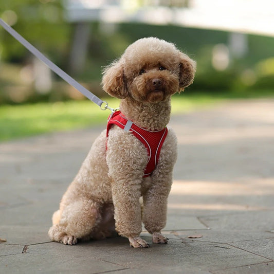 Ensemble harnais et laisse pour chien ZOLEIG™ | ajustable réfléchissant