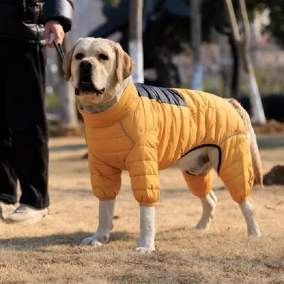 Manteau hiver pour chien CONEIJO™ | doudoune