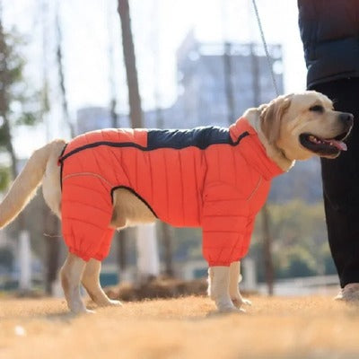Manteau hiver pour chien CONEIJO™ | doudoune