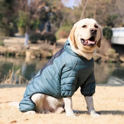 Manteau hiver pour chien CONEIJO™ | doudoune