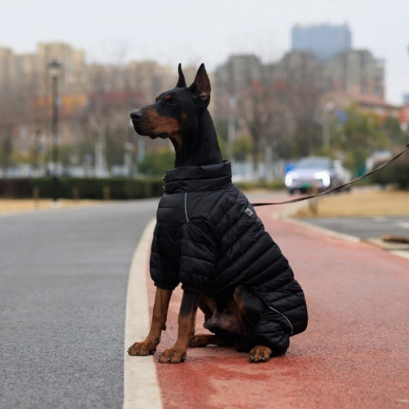 Manteau hiver pour chien CONEIJO™ | doudoune
