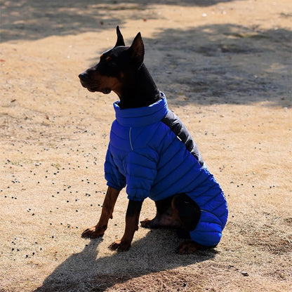 Manteau hiver pour chien CONEIJO™ | doudoune