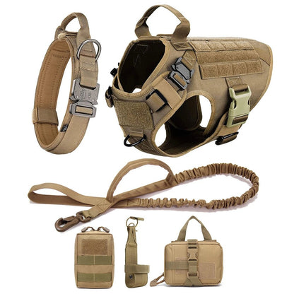 REVOLUDOG™ | Harnais Laisse Collier pour chien - Passion d'Edgar