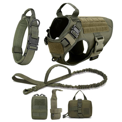 REVOLUDOG™ | Harnais Laisse Collier pour chien - Passion d'Edgar