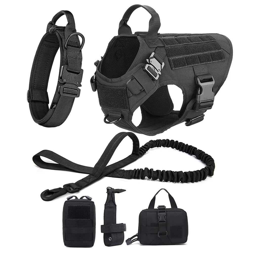 REVOLUDOG™ | Harnais Laisse Collier pour chien - Passion d'Edgar