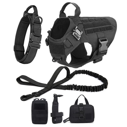 REVOLUDOG™ | Harnais Laisse Collier pour chien - Passion d'Edgar