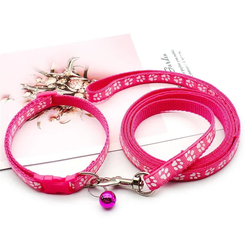 Ensemble Collier et laisse pour chien LUCKYPET™