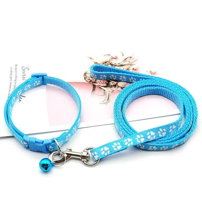 Ensemble Collier et laisse pour chien LUCKYPET™