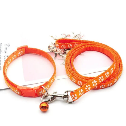 Ensemble Collier et laisse pour chien LUCKYPET™