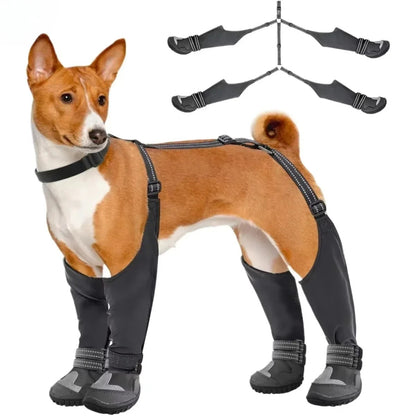 Bottes à bretelles pour chien | GAYYA™