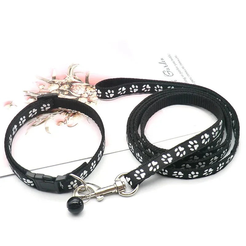 Ensemble Collier et laisse pour chien LUCKYPET™