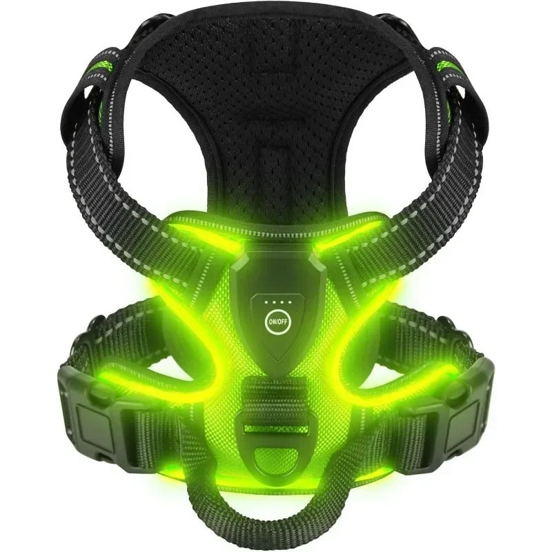 Harnais chien BENETOS™ | nylon LED