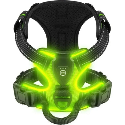 Harnais chien BENETOS™ | nylon LED