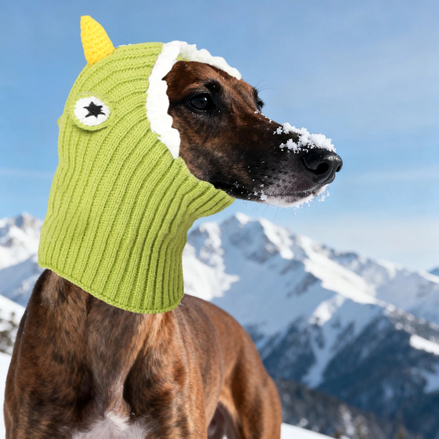 Cache oreilles pour Chien | ROBEIRO™