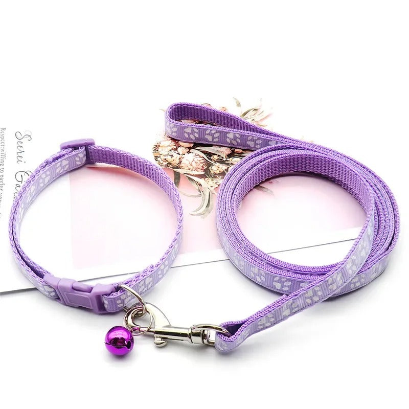 Ensemble Collier et laisse pour chien LUCKYPET™