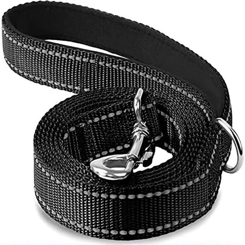 Laisse chien POCONOS™ | nylon entrainement