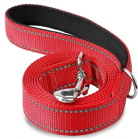 Laisse chien POCONOS™ | nylon entrainement