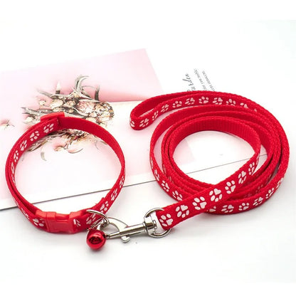 Ensemble Collier et laisse pour chien LUCKYPET™