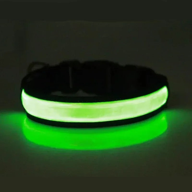 Collier lumineux pour chien LEEPOMAS™ | USB