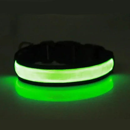 Collier lumineux pour chien LEEPOMAS™ | USB