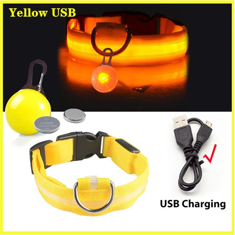 Collier lumineux pour chien LORIS™