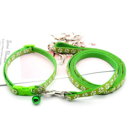 Ensemble Collier et laisse pour chien LUCKYPET™