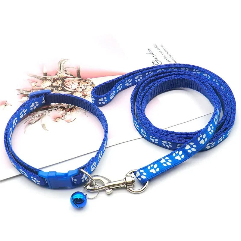 Ensemble Collier et laisse pour chien LUCKYPET™