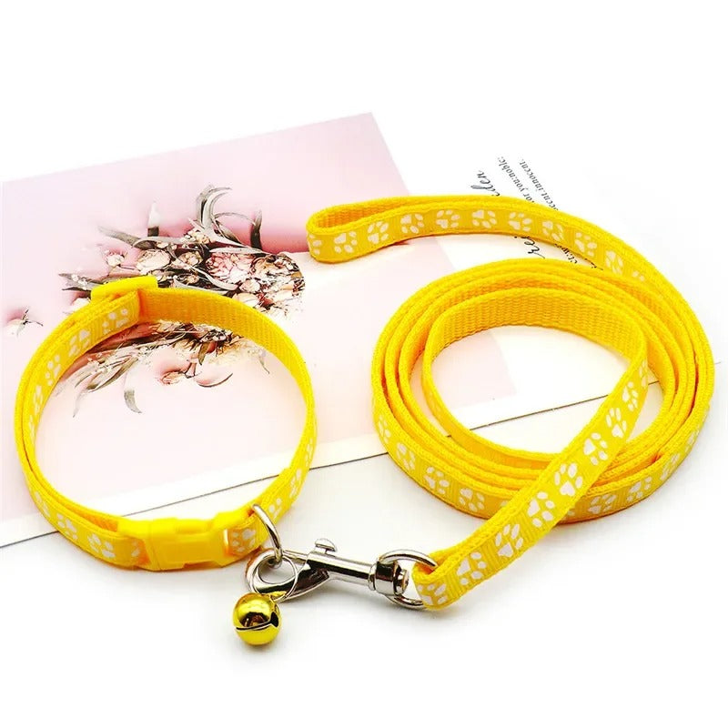 Ensemble Collier et laisse pour chien LUCKYPET™