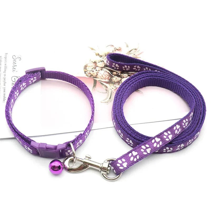 Ensemble Collier et laisse pour chien LUCKYPET™